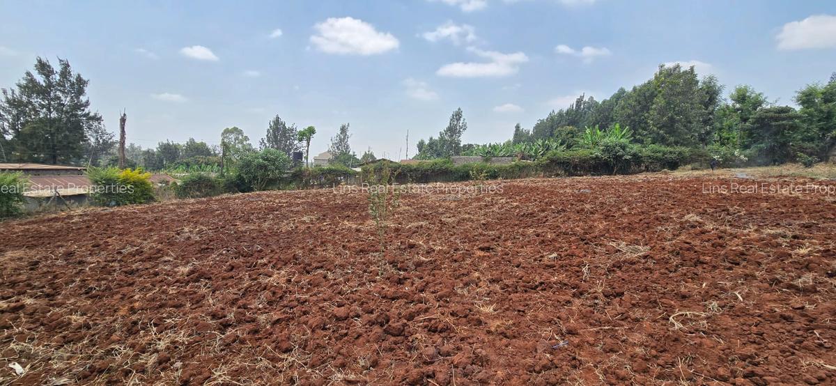 Land in Thindigua - 3