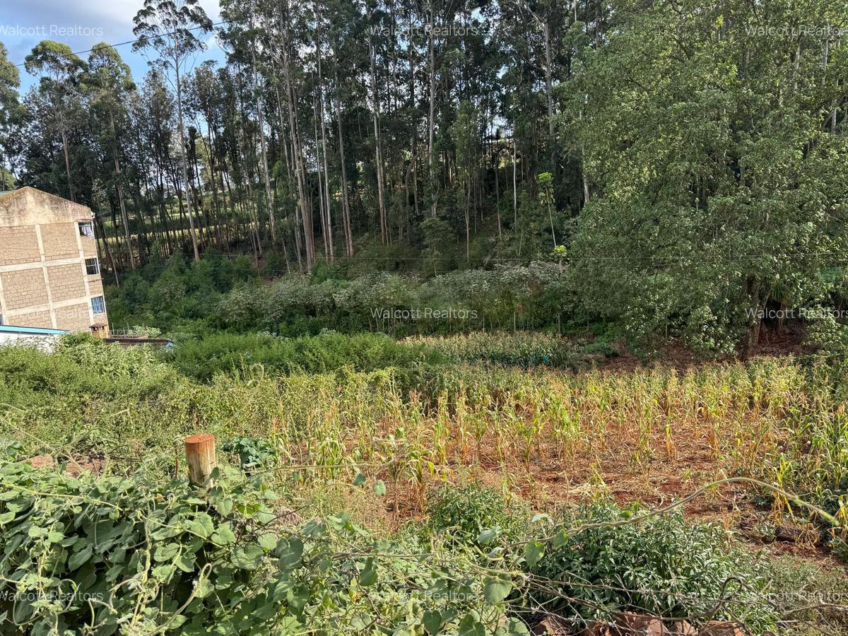 Land in Nyeri - 1