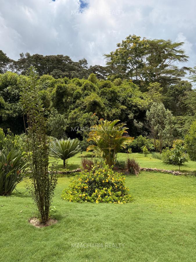 3 Bed Villa with Garden in Kiambu Road - 11