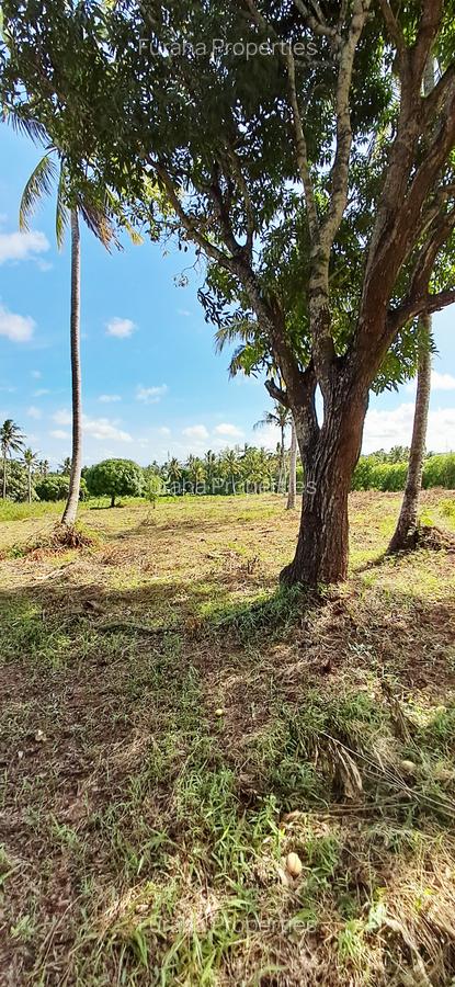 Land at Vipingo - 6