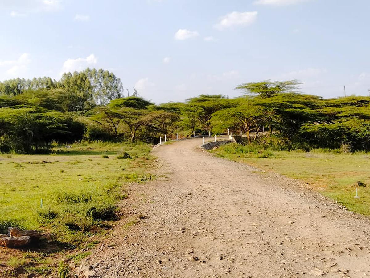 0.25 ac Residential Land at Maasai Lodge Road - 4