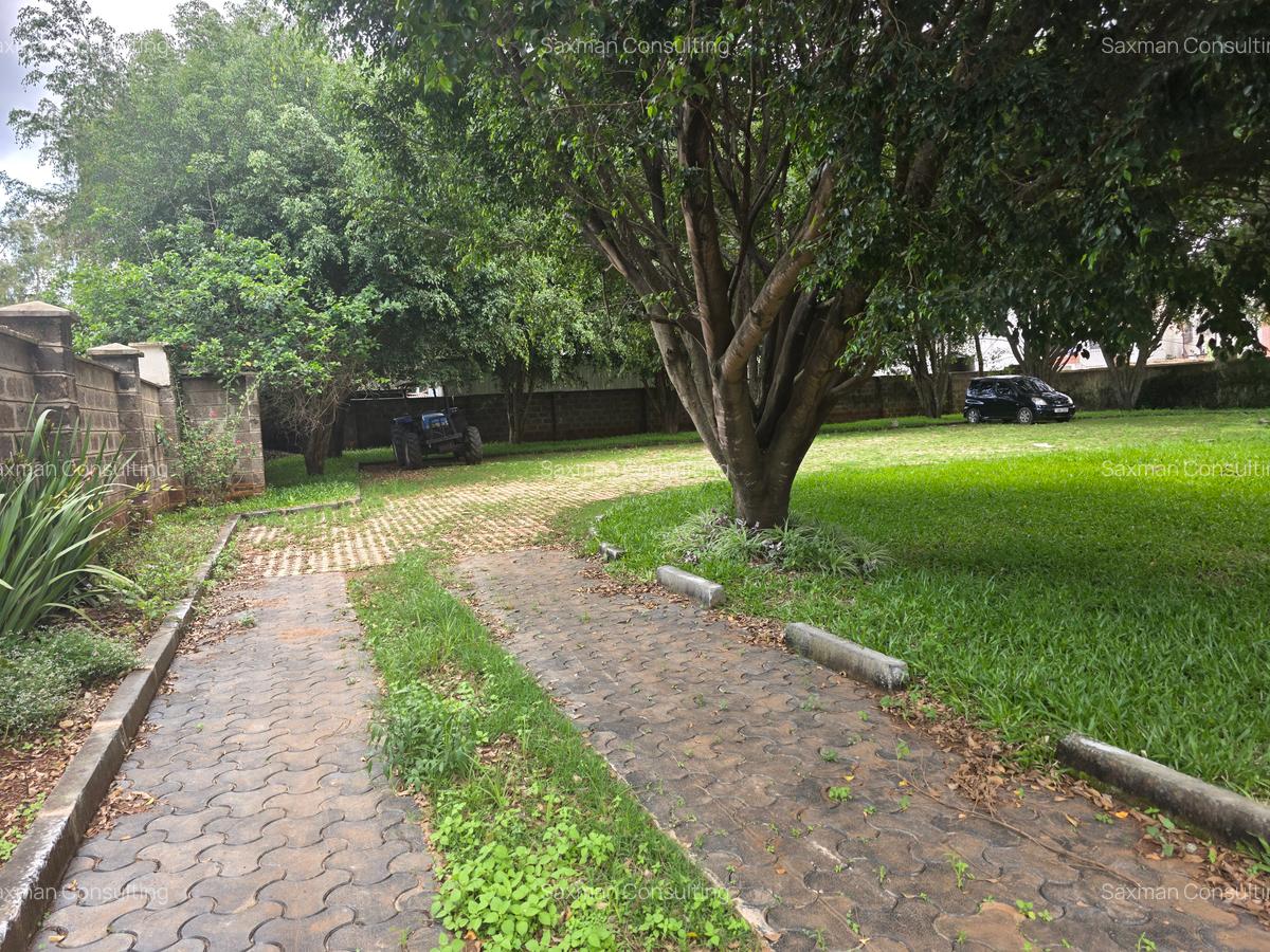 Commercial Property with Backup Generator in Lavington - 9