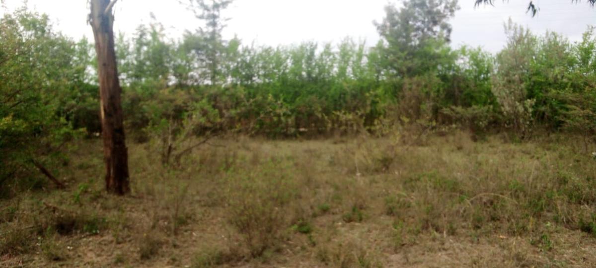 0.125 ac Commercial Land at Karai Estate - 1