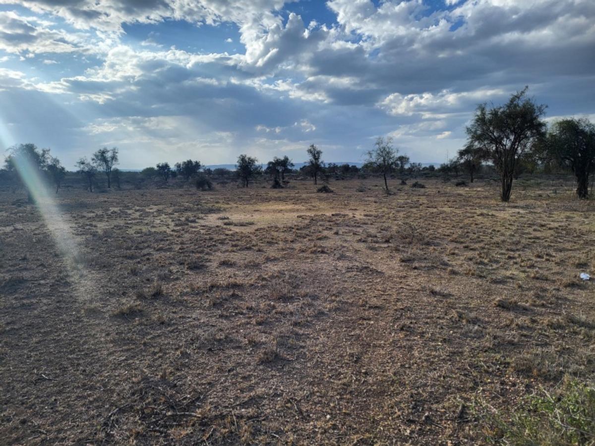 Land in Kajiado - 6