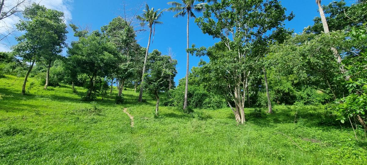 2.5 ac Land at Mtwapa Creekside - 18