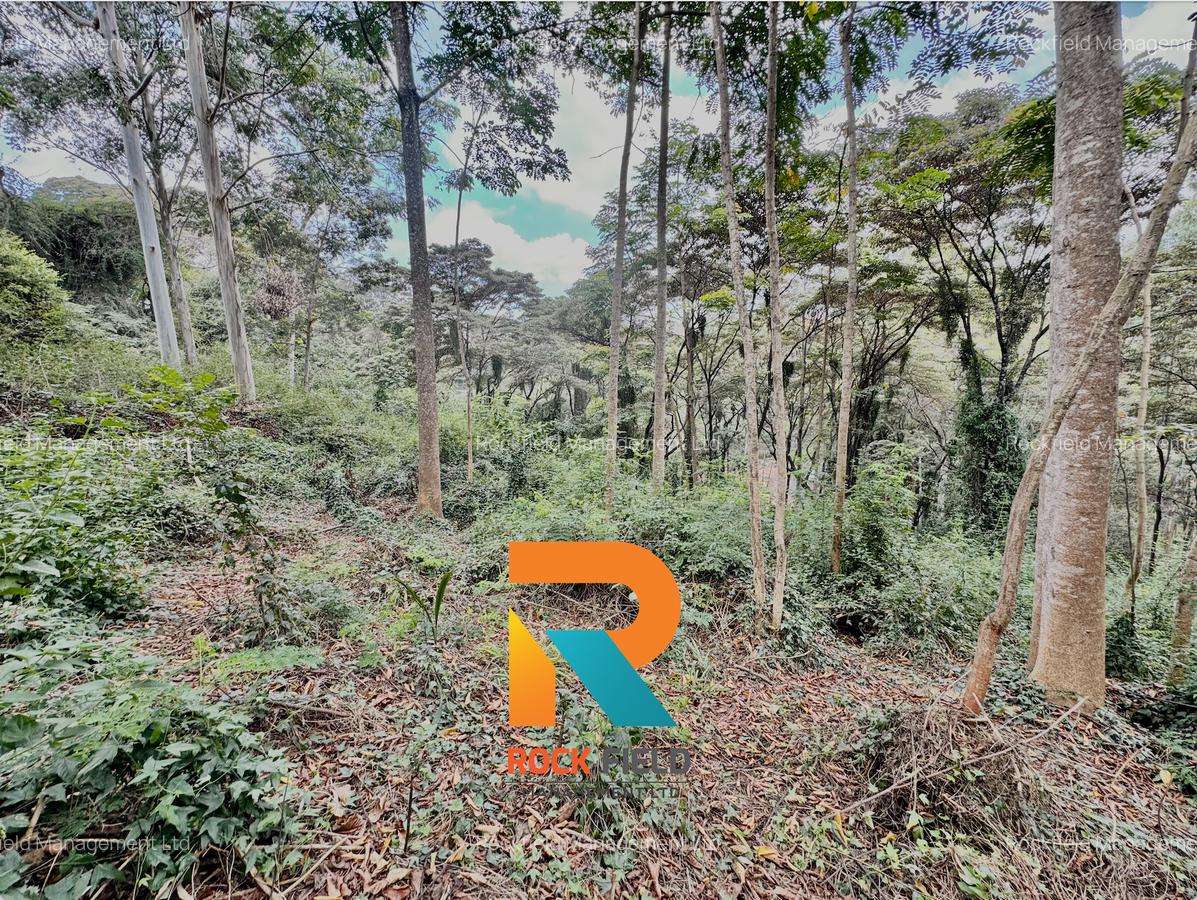 4.08 ac Land at Farasi Lane - 7