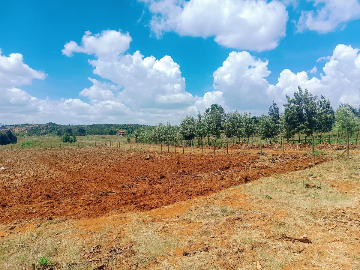 500 m² Residential Land at Ndiguini - 2