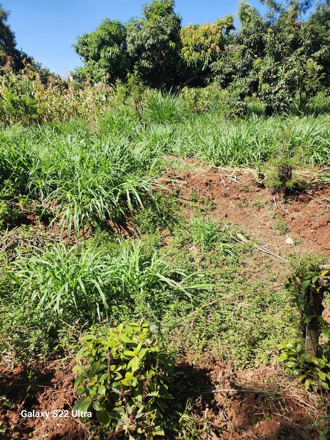 Residential Land at Thome. - 8