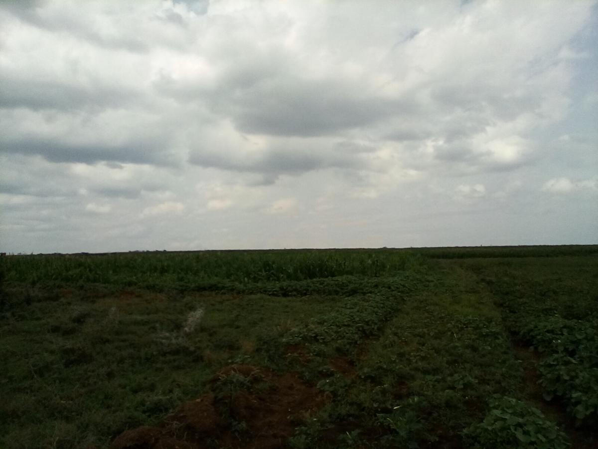 Land at Nanyuki-Rumuruti Rd - 12