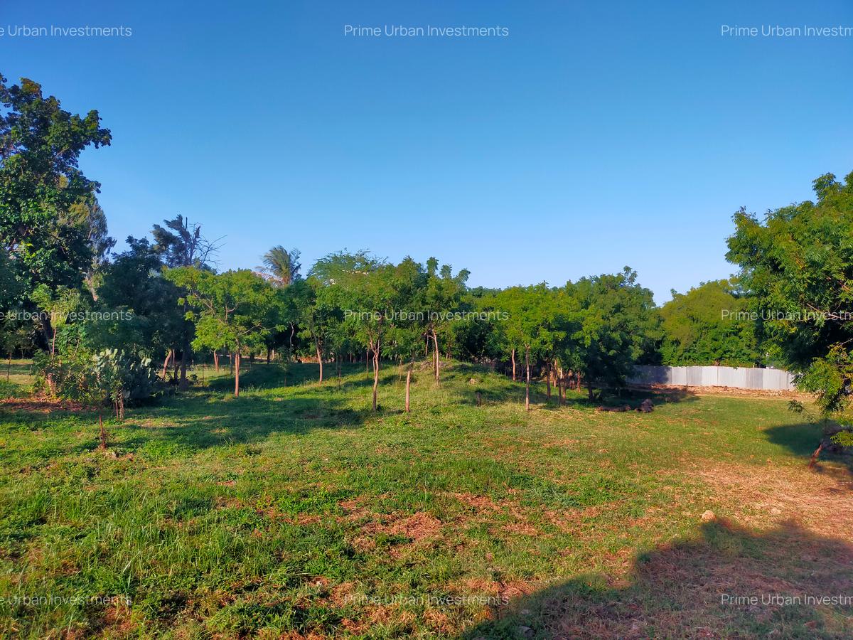 Land in Mtwapa - 10