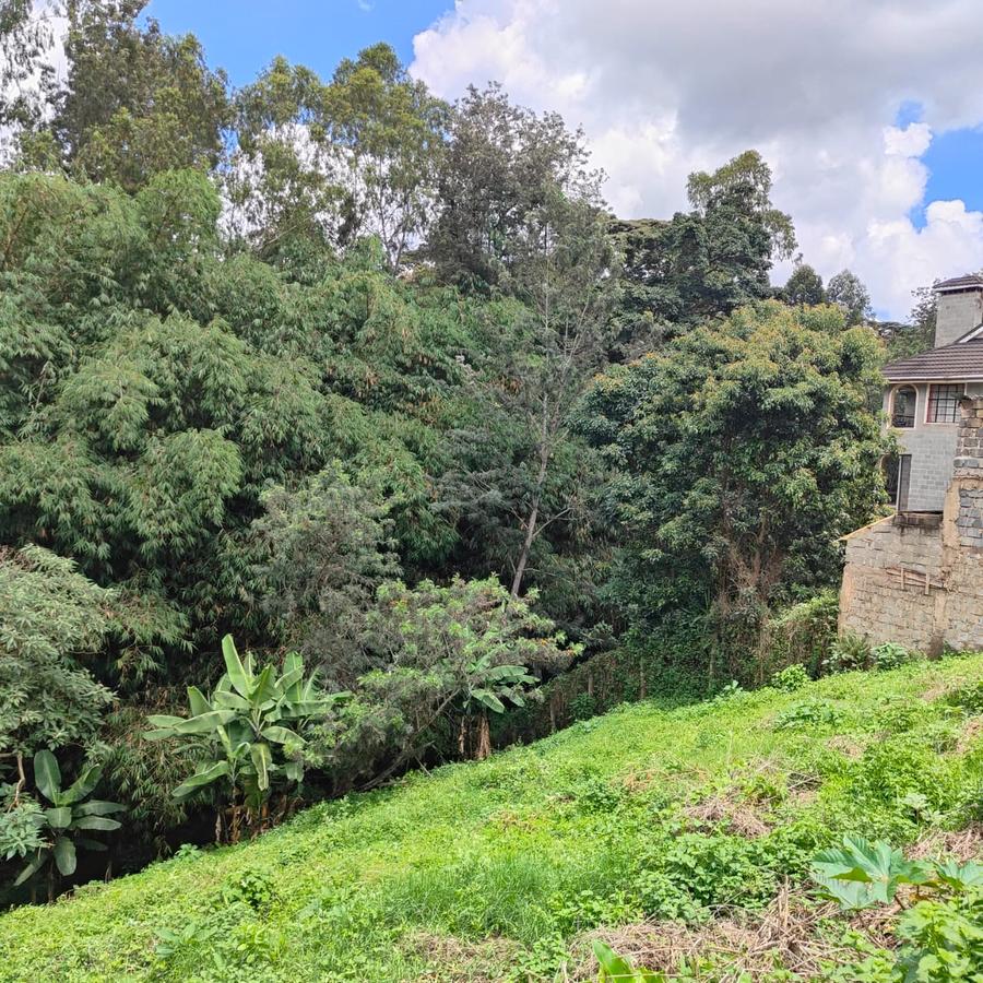 0.5 ac Land at Kitisuru Springs - 6