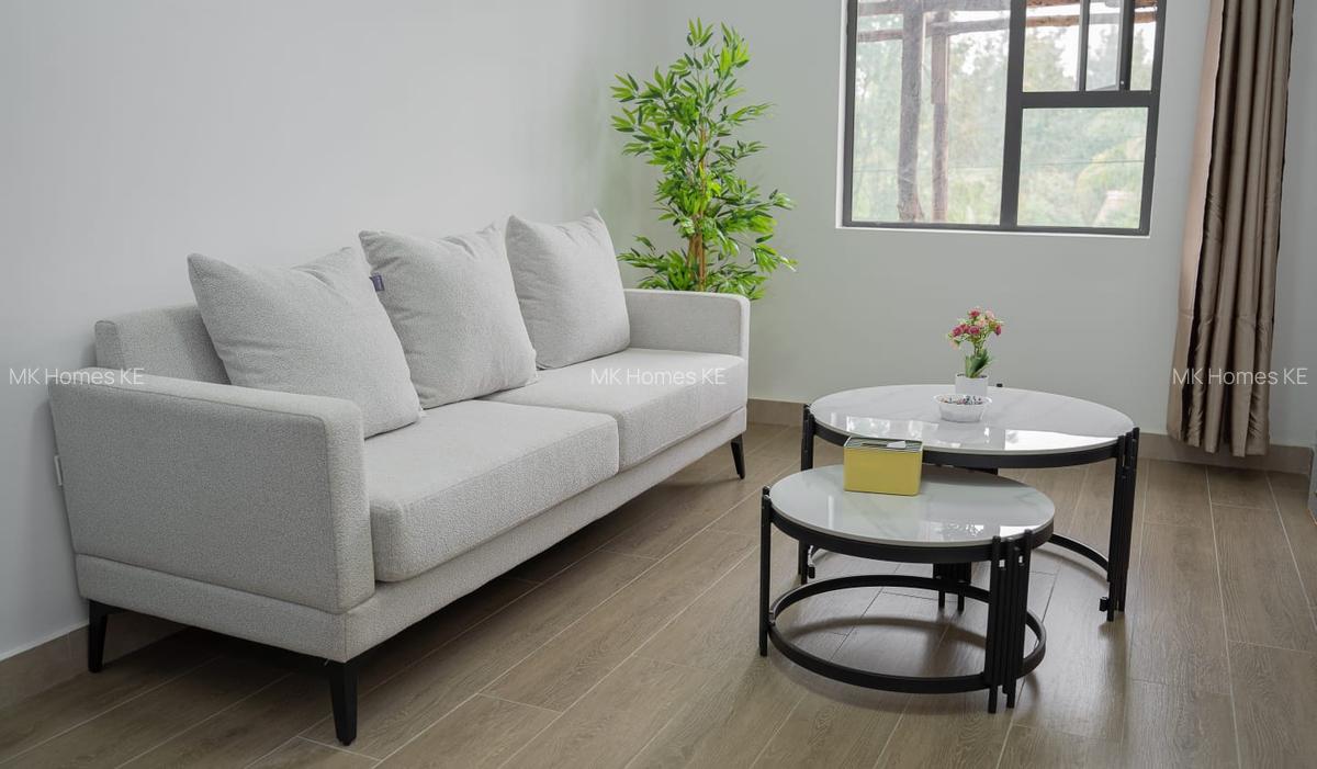 Furnished Studio Apartment with Gym at Juja - 18