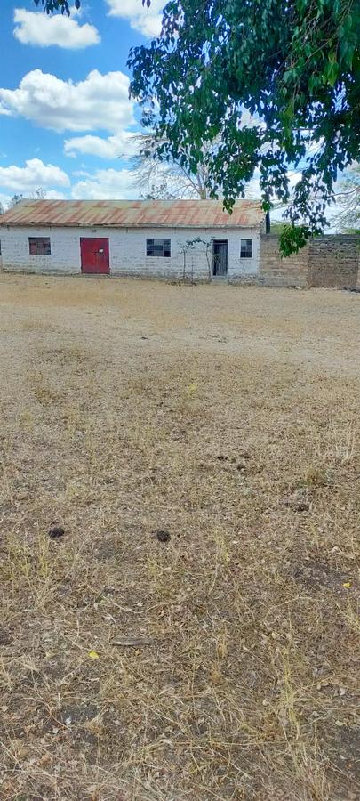 39 ac Land in Malaa - 11