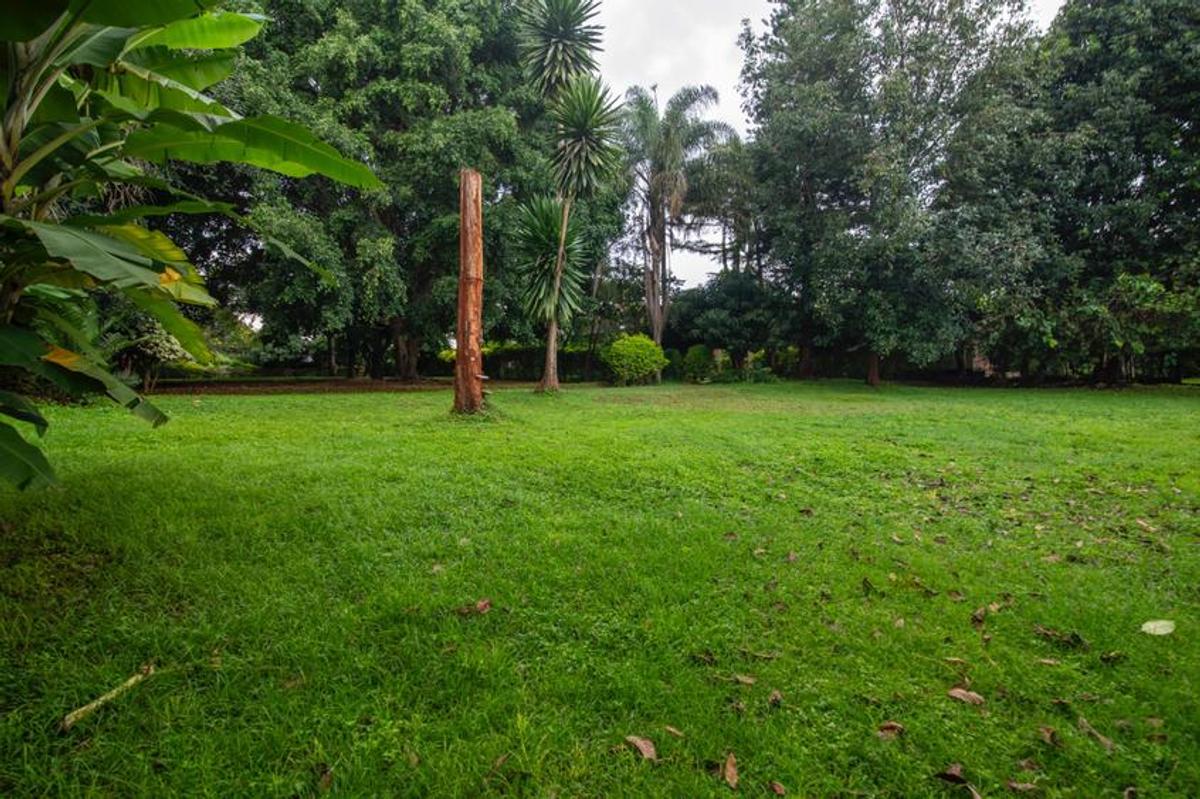 1.25 ac Land in Lavington - 6