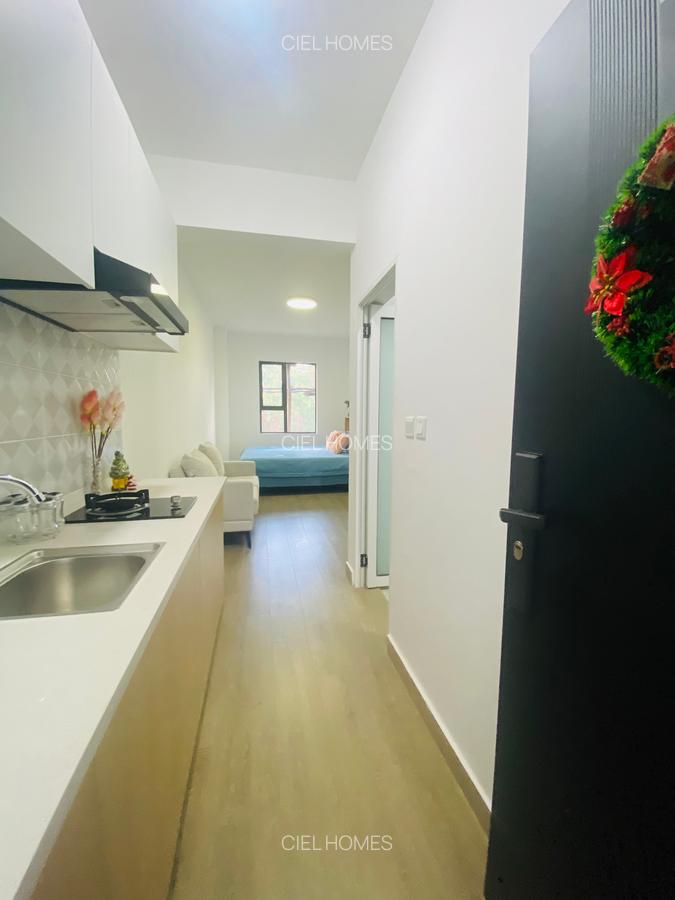 Furnished Studio Apartment with En Suite in Juja - 3