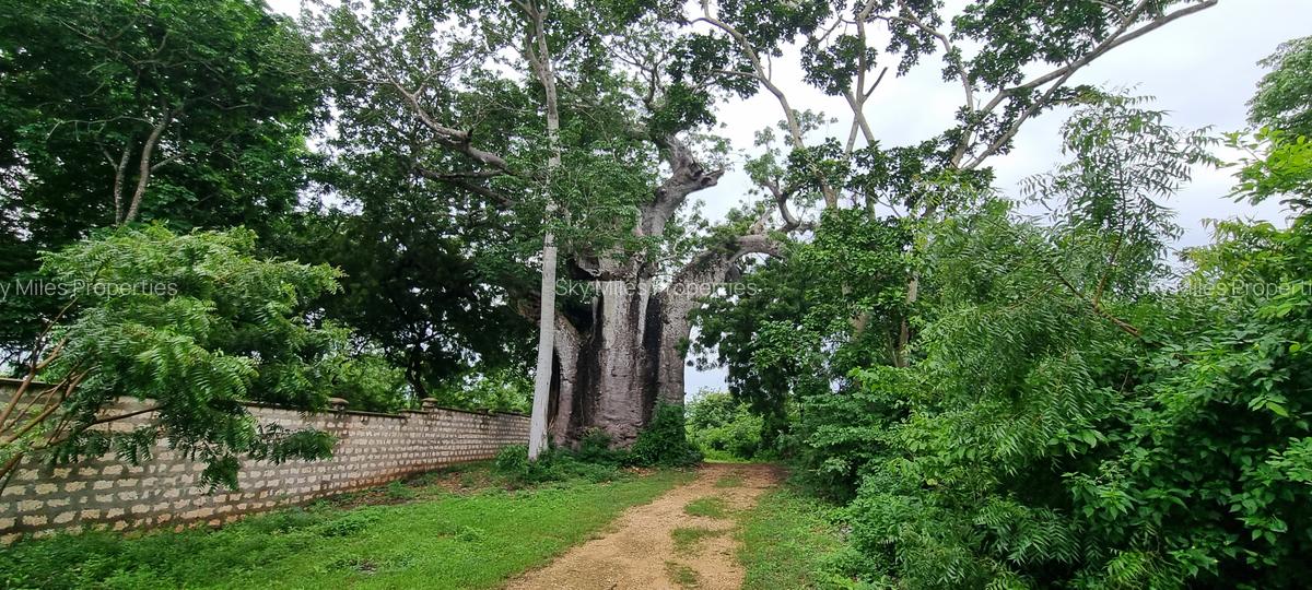 10 ac Land at Kuruwitu - 4