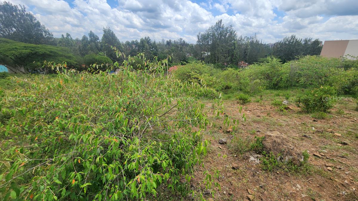 0.2 ha Commercial Land at Merisho Road - 4