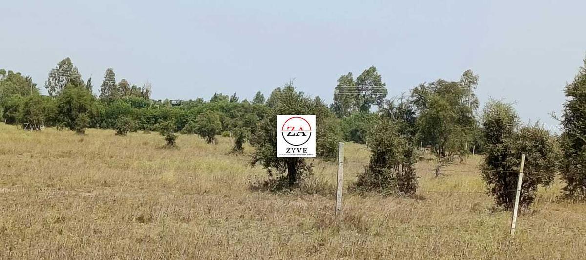 0.25 ac Land at Enkasiti - 4