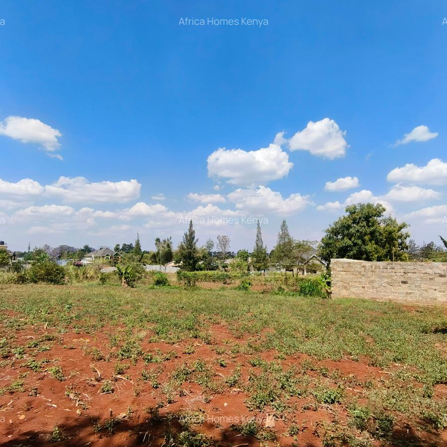 Residential Land at Ruiru Mhasibu - 5