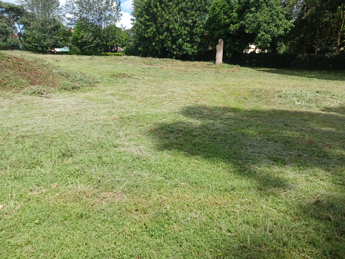 2.25 ac Land at Kitisuru - 19