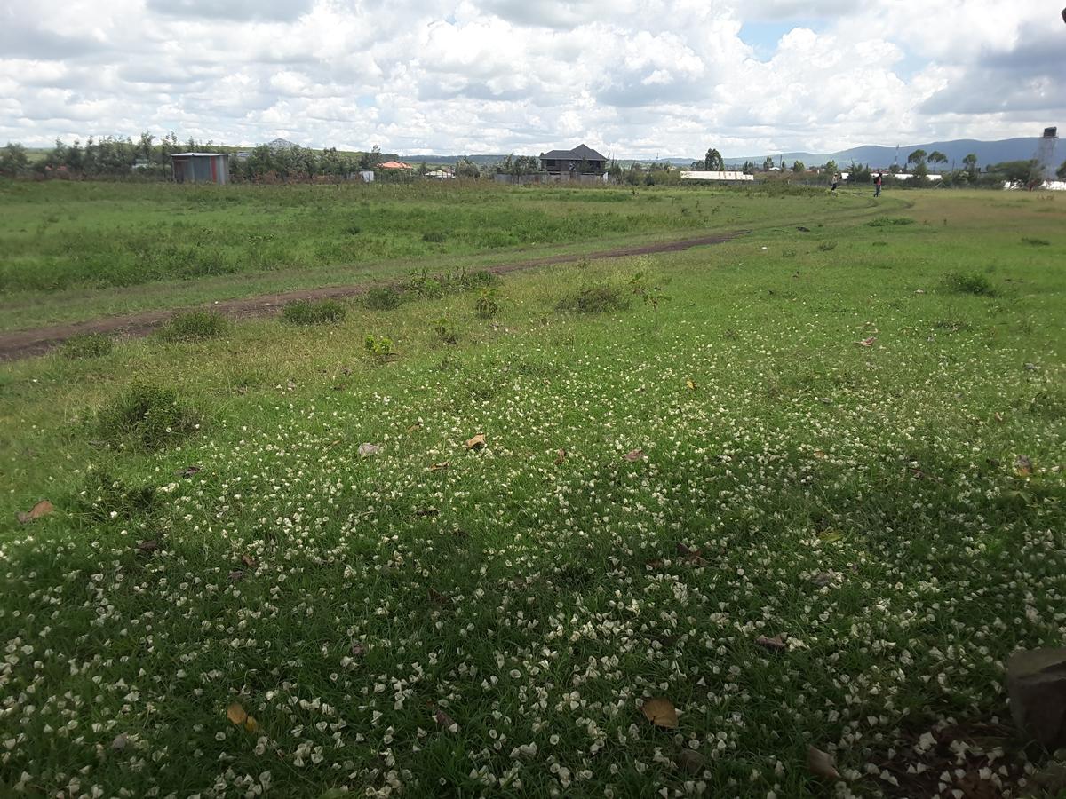 0.1 ha Residential Land in Ongata Rongai - 9