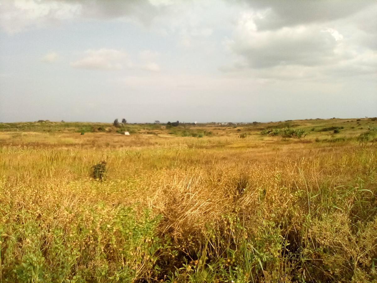 Land at Manira Trail - 1