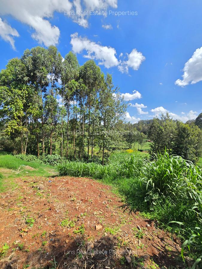 Residential Land in Kitisuru - 3