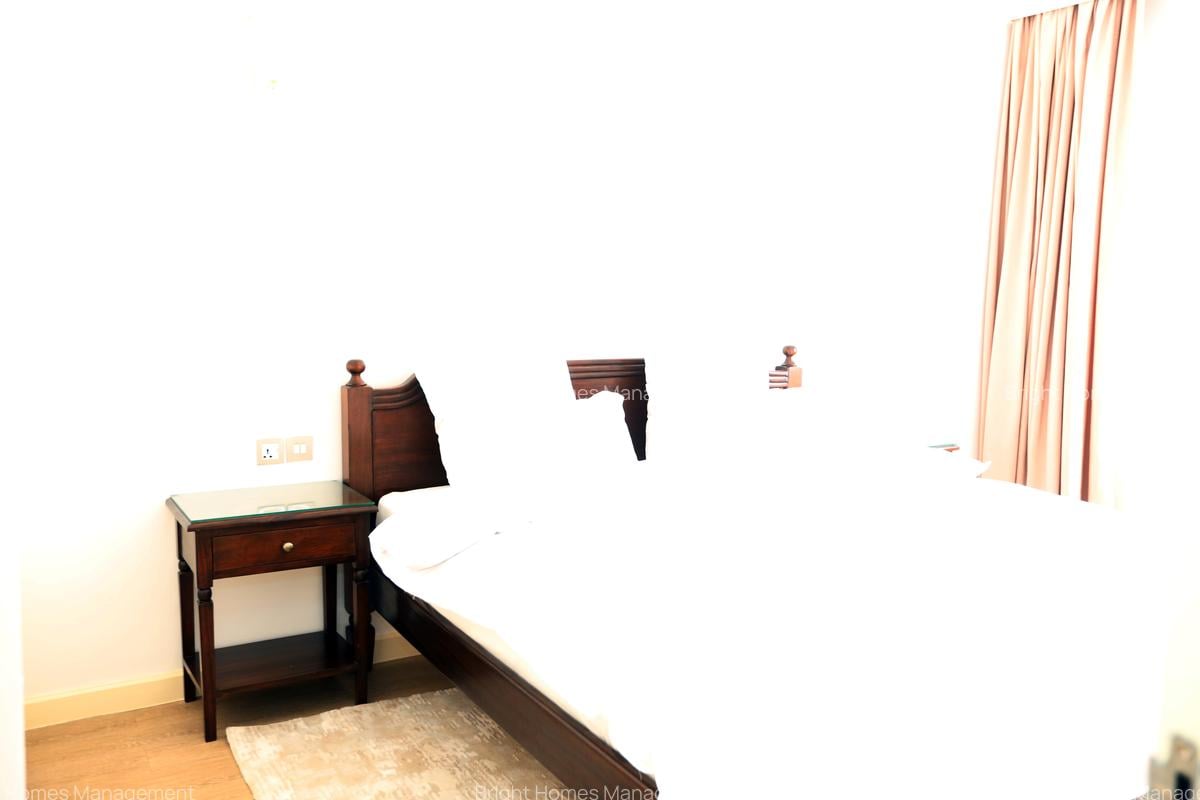 Furnished 1 Bed Apartment with En Suite in Riverside - 6