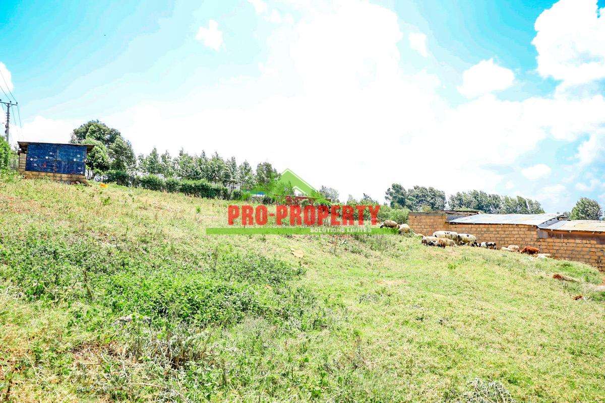 0.25 ha Commercial Land at Ondiri - 4