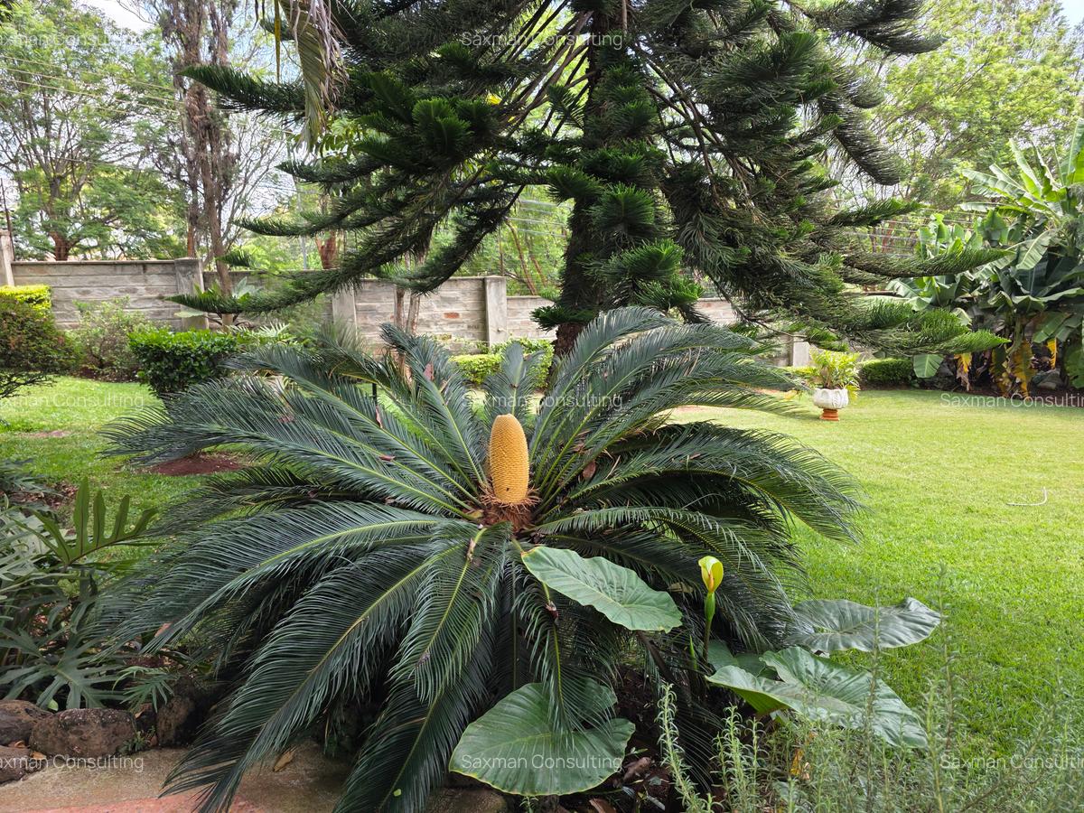 5 Bed House with En Suite in Kitisuru - 18