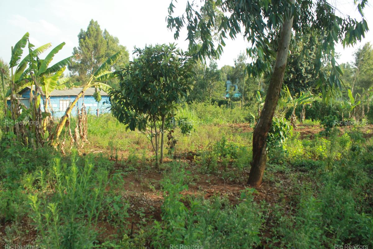 0.25 ac Land at Gikambura - 1