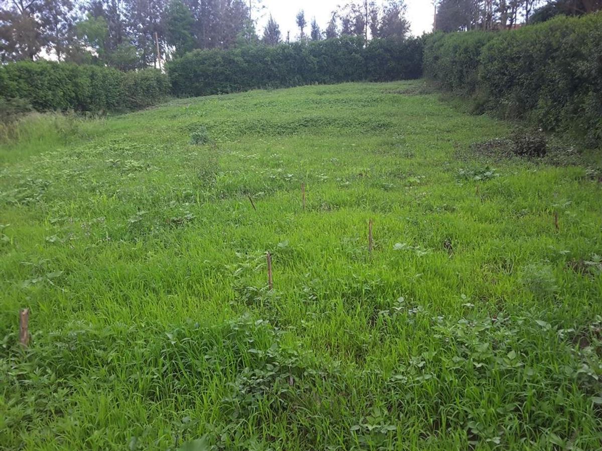 0.1 ha Residential Land in Ngong - 6