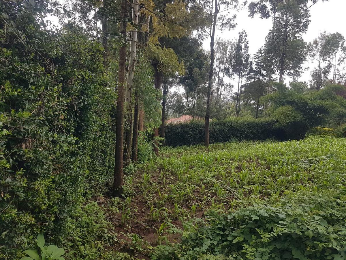 1.25 ac Land in Ngong - 5