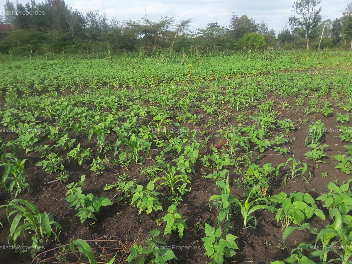 0.25 ac Residential Land in Ongata Rongai - 1