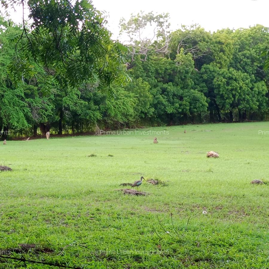 90 ac Residential Land at Kuruwitu-Vipingo - 15