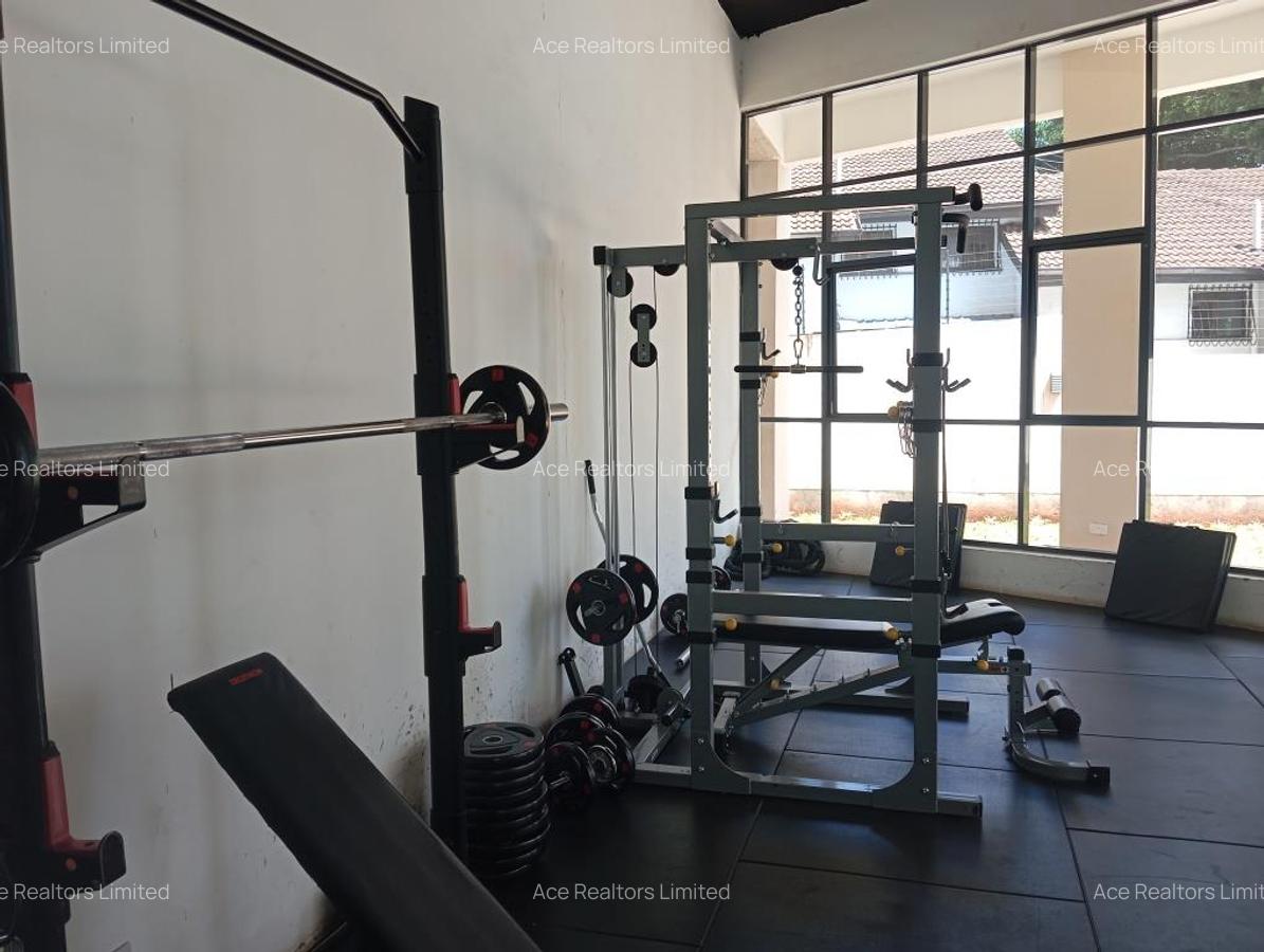 Serviced 2 Bed Apartment with En Suite at Off Rhapta Road - 17