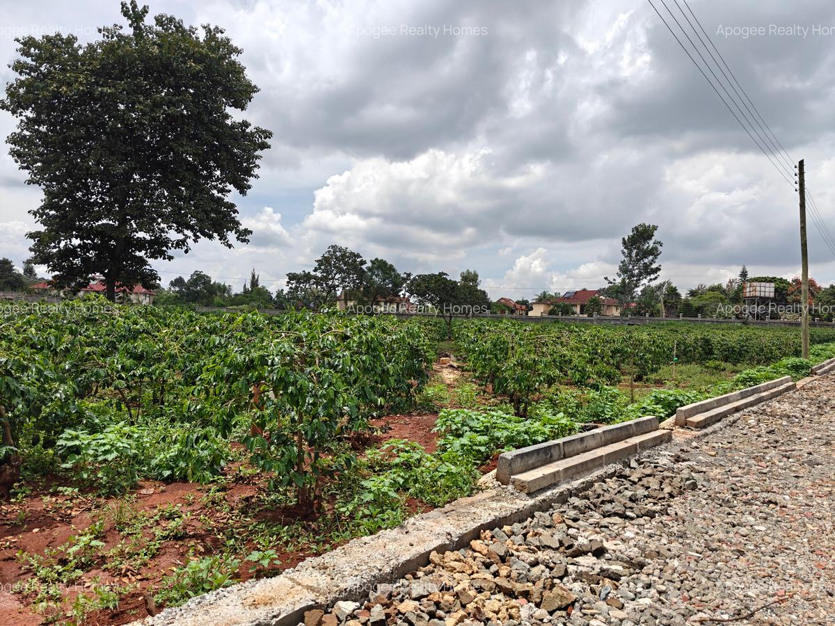 0.5 ac Land at Runda - 18