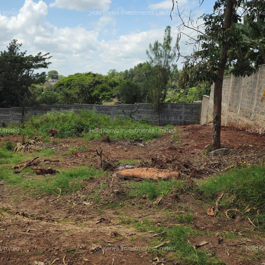 0.5 ac Land in Thome - 3
