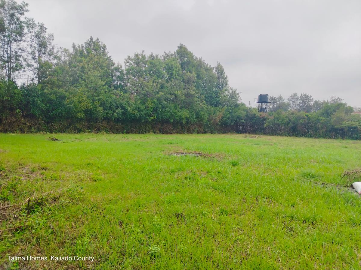 0.5 ac Land at Nkoroi - 2