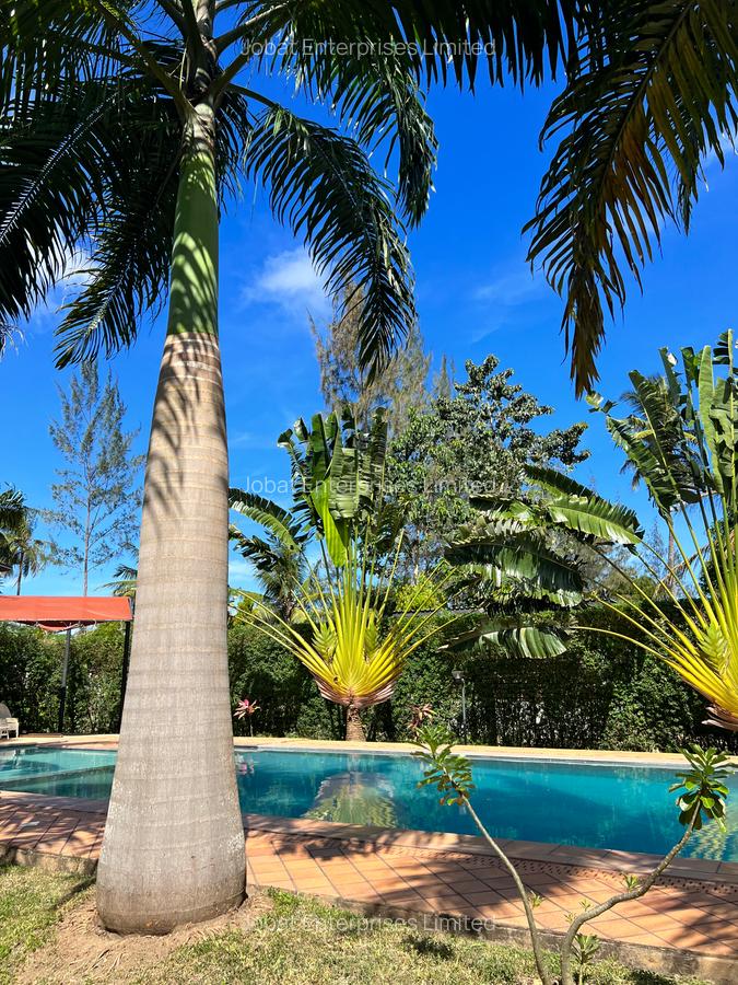 Serviced 2 Bed Apartment with En Suite at Malindi Road - 17