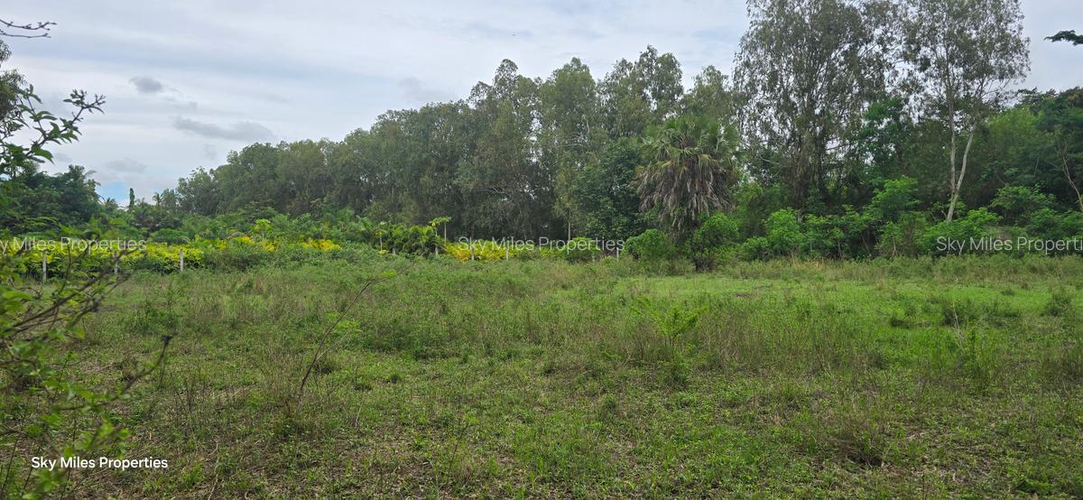 2 ac Land at Animo - 8