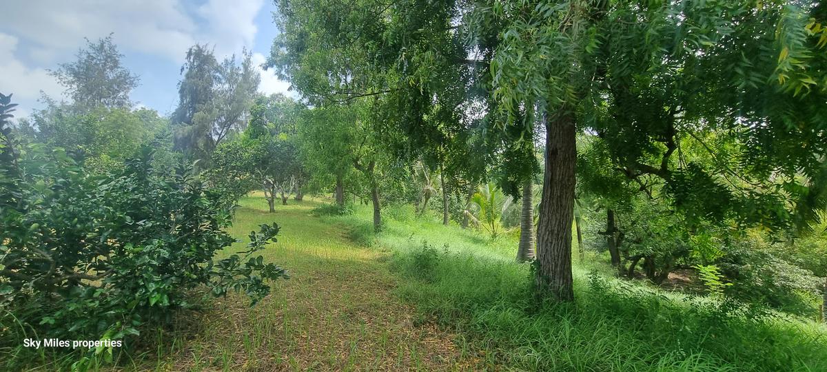 10 ac Land at Mtwapa Creekside - 16