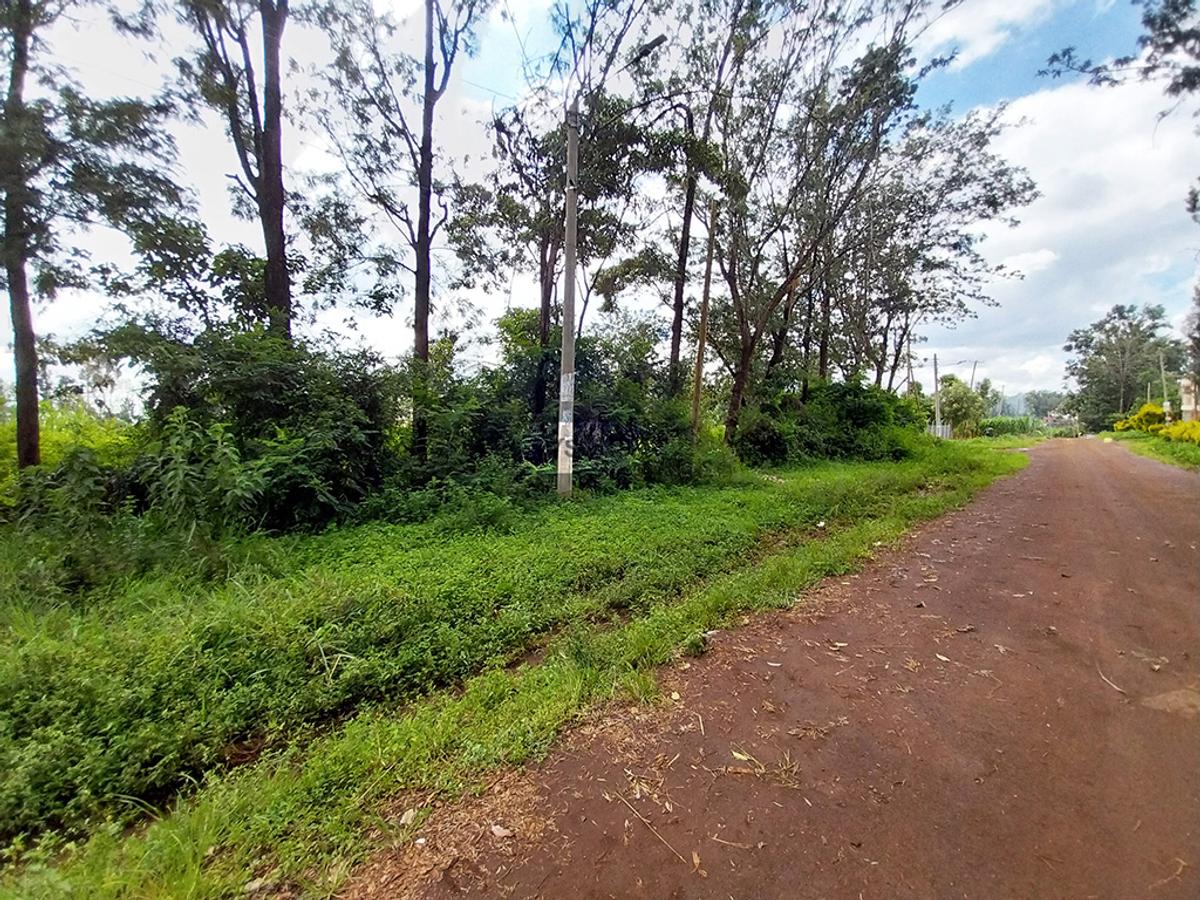 0.64 ac Residential Land in Thindigua - 1