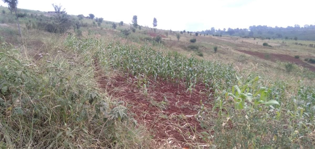 64,000 ft² Land at Kiambu Riabai - 15