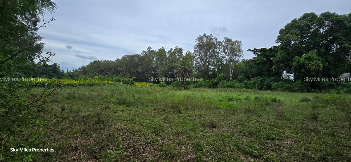 2 ac Land at Animo - 9