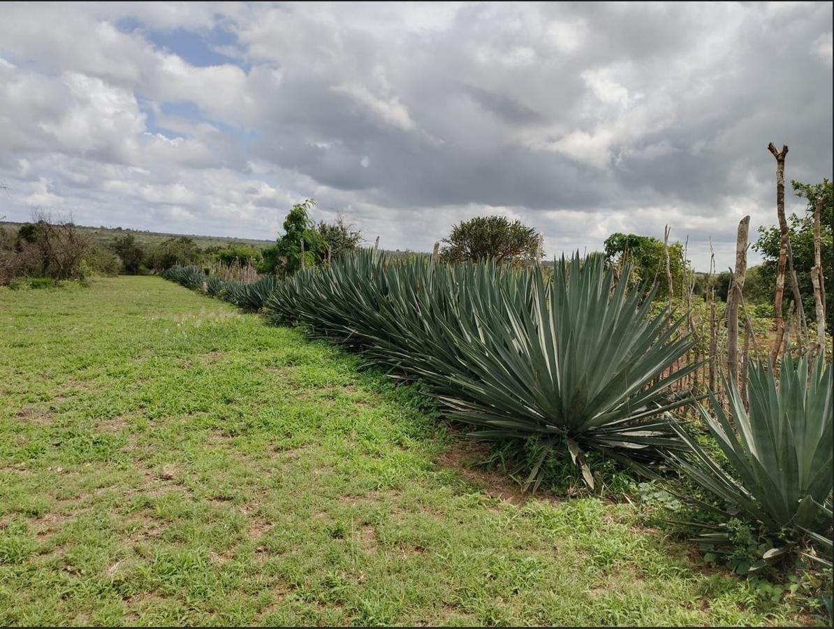 5,000 ft² Land at Malindi Muungano - 8