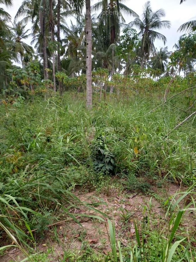 6 m² Land at Bomani - 4