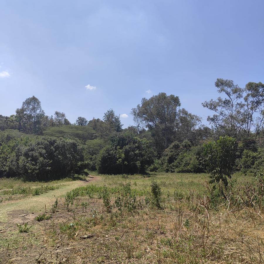 1 ac Land at Ndovu Road - 10