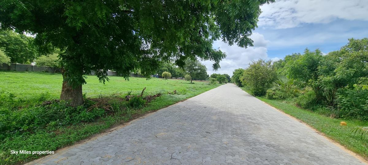 2,000 m² Land at Vipingo Kuruwitu - 7