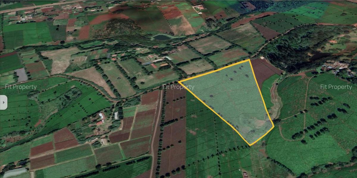 40 ac Land at Tigoni - 6